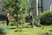 На центральной набережной продолжают приводить в порядок зеленые насаждения