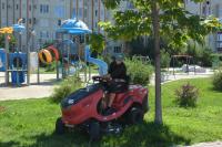 На центральной набережной продолжают приводить в порядок зеленые насаждения