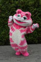 В субботу на набережной отпраздновали День молодежи