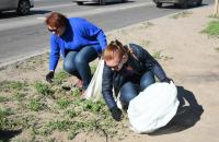Астрахань приняла участие в общероссийском субботнике