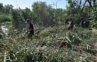 Городские власти благоустраивают Трусовский район