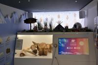 В  Астрахань приехал автобус «Каникулы в Арктике»