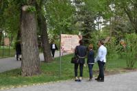 Астраханцы с размахом отметили День Победы