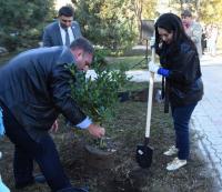В Астрахани массово озеленяют парки и скверы