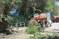 В Астрахани приступили к опиловке деревьев на ул. Калинина и Куйбышева