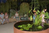 Цветочный фестиваль в Астрахани посетили более десяти тысяч человек