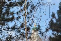 В Астрахани высадили около 500 крупномерных деревьев 