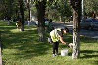 Общественники помогают в подготовке празднования Дня города