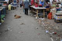 На Больших Исадах ликвидируют стихийный рынок