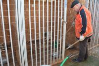 В Астрахани снижается количество безнадзорных животных