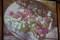 45 школ и детских садов Астрахани боролись за гранты