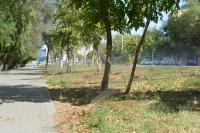 В Астрахани восстанавливают поливочный водопровод