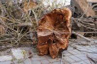 Улицу Володарского готовят к ремонту