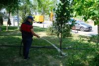 На общественных пространствах Астрахани организован дополнительный полив