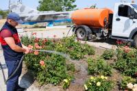 На общественных пространствах Астрахани организован дополнительный полив