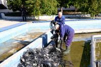 В Астрахани городские власти приступили к консервации фонтанов