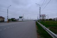 На Аэропортовском шоссе высадили клены