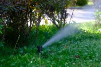 В парках и скверах Астрахани идет консервация поливочных систем