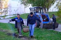 В сквере Ульяновых высадили сакуру