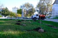 В сквере Ульяновых высадили сакуру