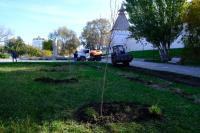 В сквере Ульяновых высадили сакуру