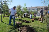 В Астрахани на центральной набережной высадили сирень 