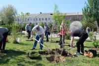В Астрахани на центральной набережной высадили сирень 