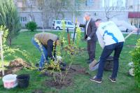 Игорь Редькин пригласил астраханцев принять участие во Всероссийском субботнике  