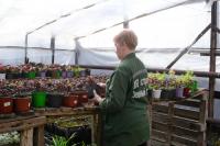 В Астрахани модернизируют городские теплицы