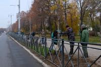 В Астрахани высадили около 500 крупномерных деревьев 