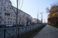 В Астрахани высадили около 500 крупномерных деревьев 