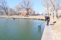 В Астрахани после зимы зачистили акваторию Лебединого озера
