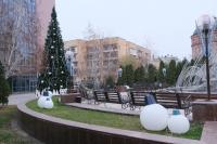 В Астрахани устанавливают главную ёлку города