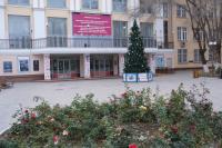 В Астрахани устанавливают главную ёлку города