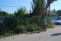 В Астрахани скосили свыше 350 гектаров сорной растительности и камыша 