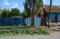 В Астрахани скосили свыше 350 гектаров сорной растительности и камыша 