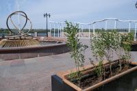 В Астрахани озеленители приступили к осенней высадке кустарников