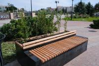 В Астрахани озеленители приступили к осенней высадке кустарников