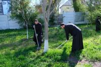 Очередной субботник прошел в парке «Аркадия»