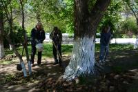 Очередной субботник прошел в парке «Аркадия»