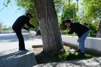 Очередной субботник прошел в парке «Аркадия»