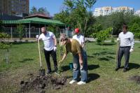 На аллее предпринимателей в парке АДК «Аркадия» высадили  деревья и кустарники
