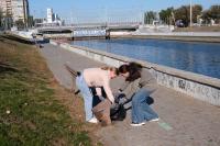 80 мешков мусора собрали на Городском острове