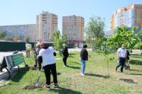 На аллее предпринимателей в парке АДК «Аркадия» высадили  деревья и кустарники