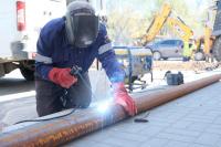 Улицу Володарского готовят к комплексному озеленению