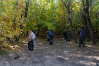 80 мешков мусора собрали на Городском острове