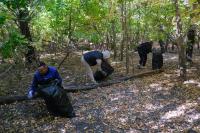 80 мешков мусора собрали на Городском острове