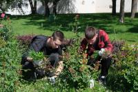 На улице Яблочкова покрасили лееерное ограждение