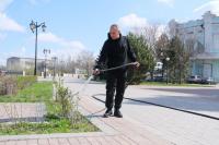 В Астрахани стартовал сезон высадки кустарников