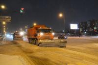 С улиц и парков Астрахани вывезли почти 200 кубометров снега